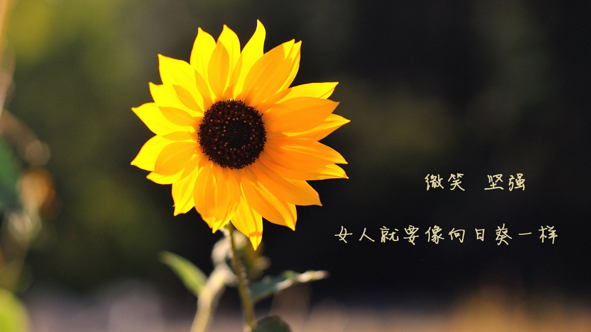 “本周最爆炸！快船逆转雷霆燃爆全场”，快船被逆转