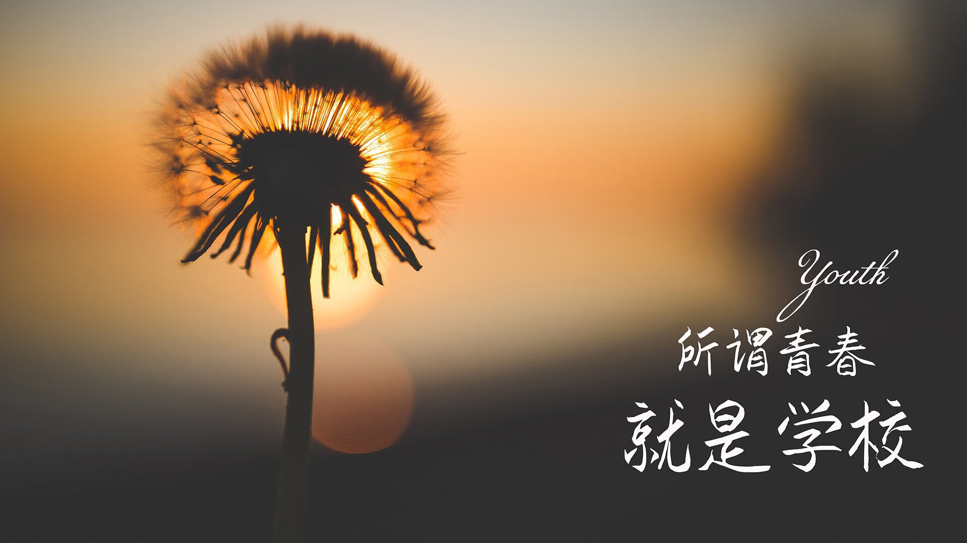 勇士推出AI分析球迷情绪系统，用于主场氛围优化，勇士球迷素质
