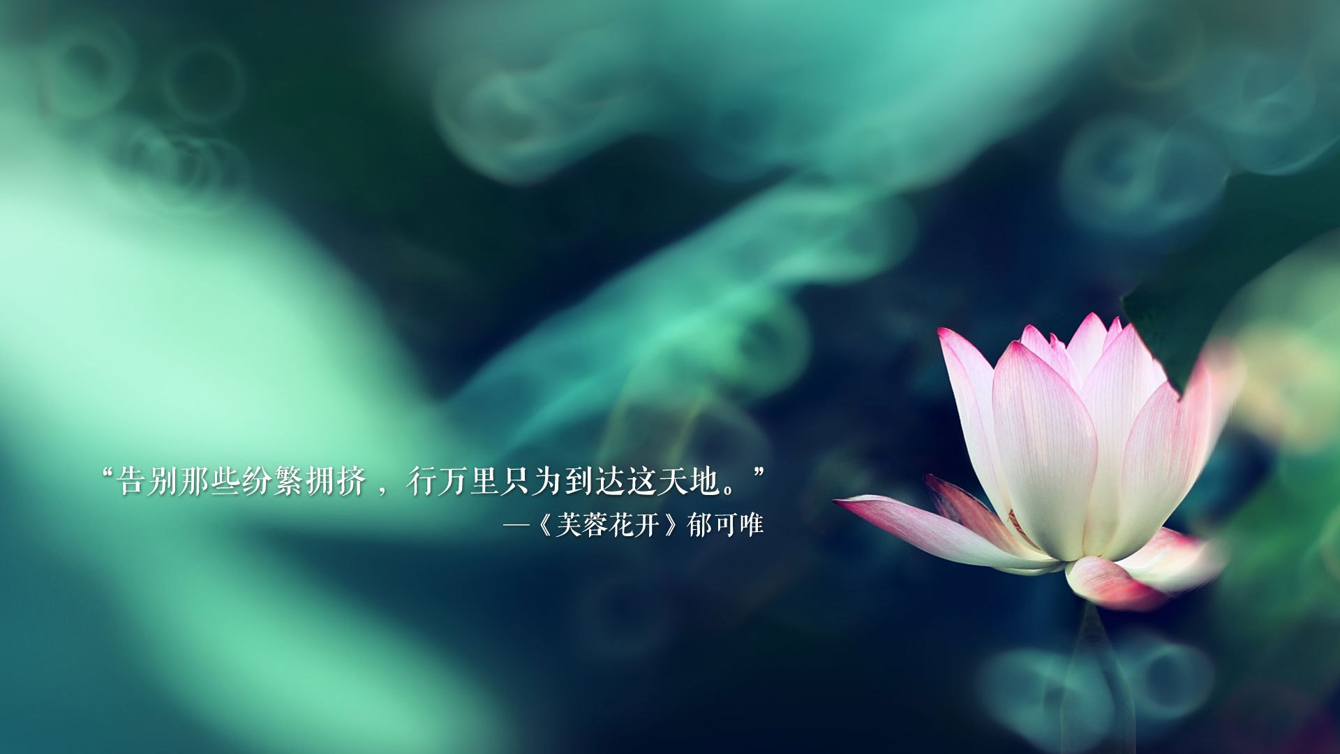 升班马雷恩火力全开，为保级努力，马里恩雷诺