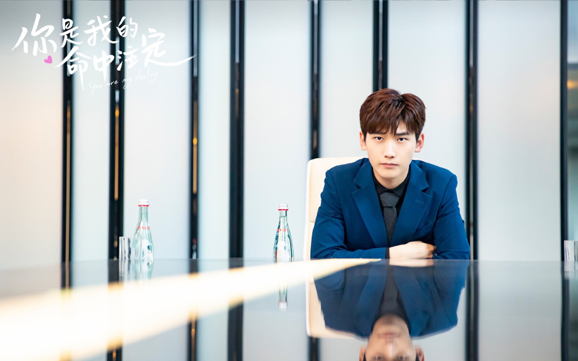 比利时队主帅马丁内斯：球队在欧洲杯中的表现令人失望，比利时主教练马丁内斯简介