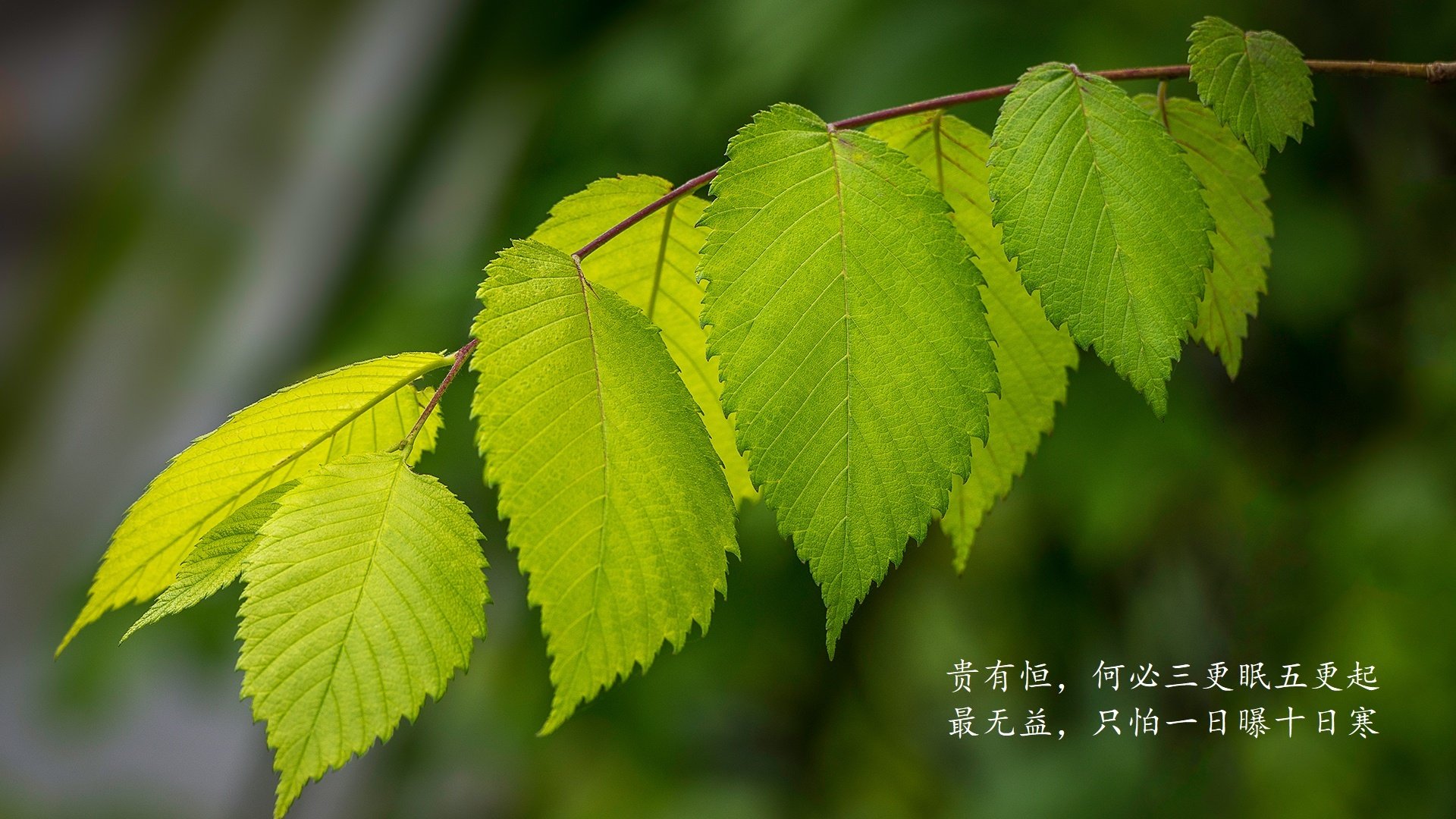 kaiyun登录入口-球星抱团后球队深度是否变弱，球星报团