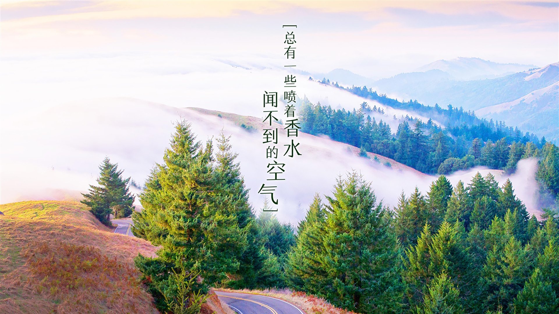 赛后数据分析：切尔西射门效率更高，切尔西一场比赛报废两门将