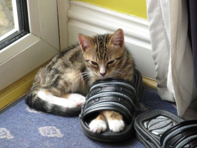 英超赛场风云:每一秒都精彩无限,英超赛事集锦