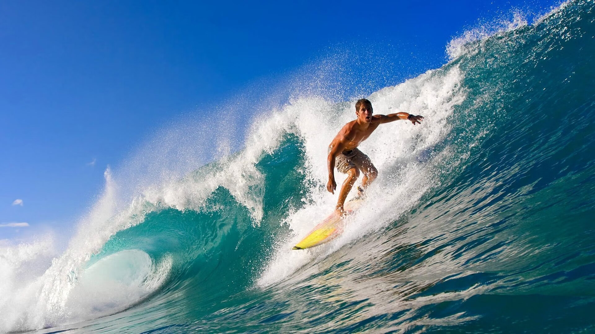 与国际瑜伽大师合作，举办大师班，国际瑜伽大师有哪些